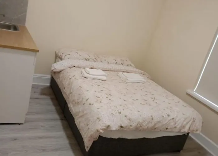 York Palm بيت ضيافة كورك