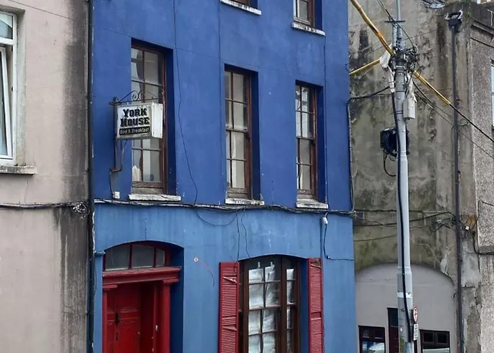 York Palm Гостевой дом *